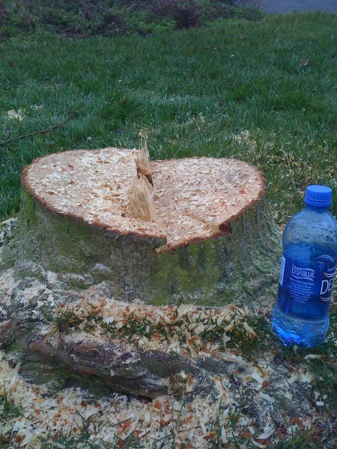 Trusted garden landscaping with custom design across Lakeside, CA - Discount Stump Grinding