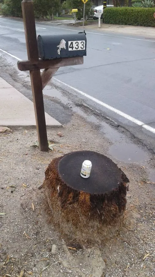 Custom landscape installation experts serving Lakeside, CA - Discount Stump Grinding