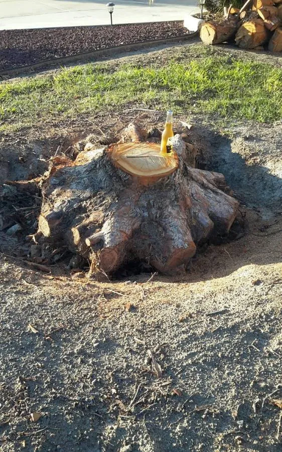 Affordable garden landscaping experts serving Lakeside, CA - Discount Stump Grinding