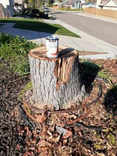 Top-rated yard maintenance for residential properties in Lakeside, CA by Discount Stump Grinding