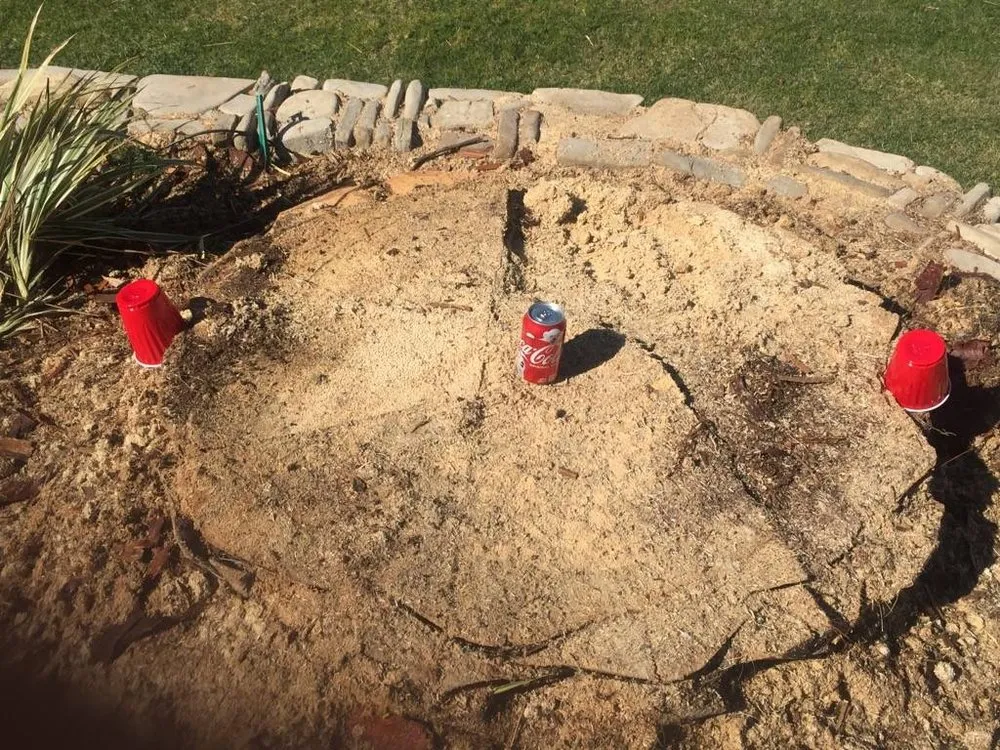 Reliable outdoor landscaping with custom design across Lakeside, CA - Discount Stump Grinding