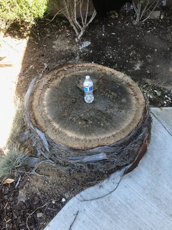 Affordable outdoor landscaping for residential properties across Lakeside, CA - Discount Stump Grinding