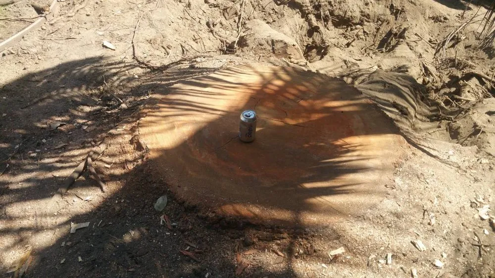 Professional landscape installation in Lakeside, CA by Discount Stump Grinding