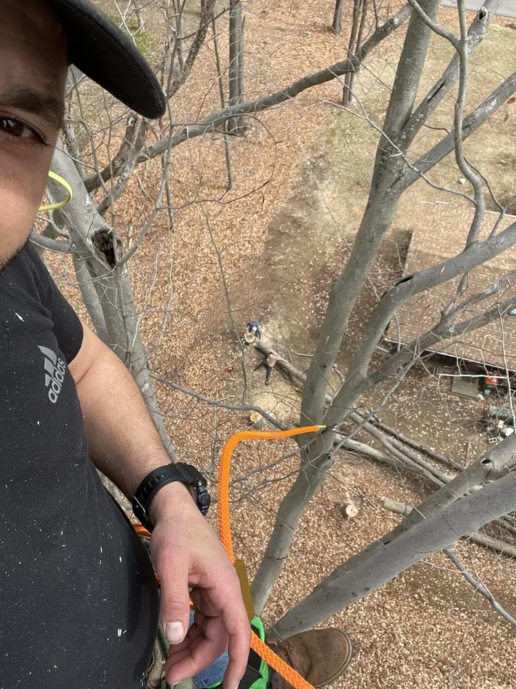 Trusted outdoor landscaping for homes across Beacon, NY - Discount Tree Man