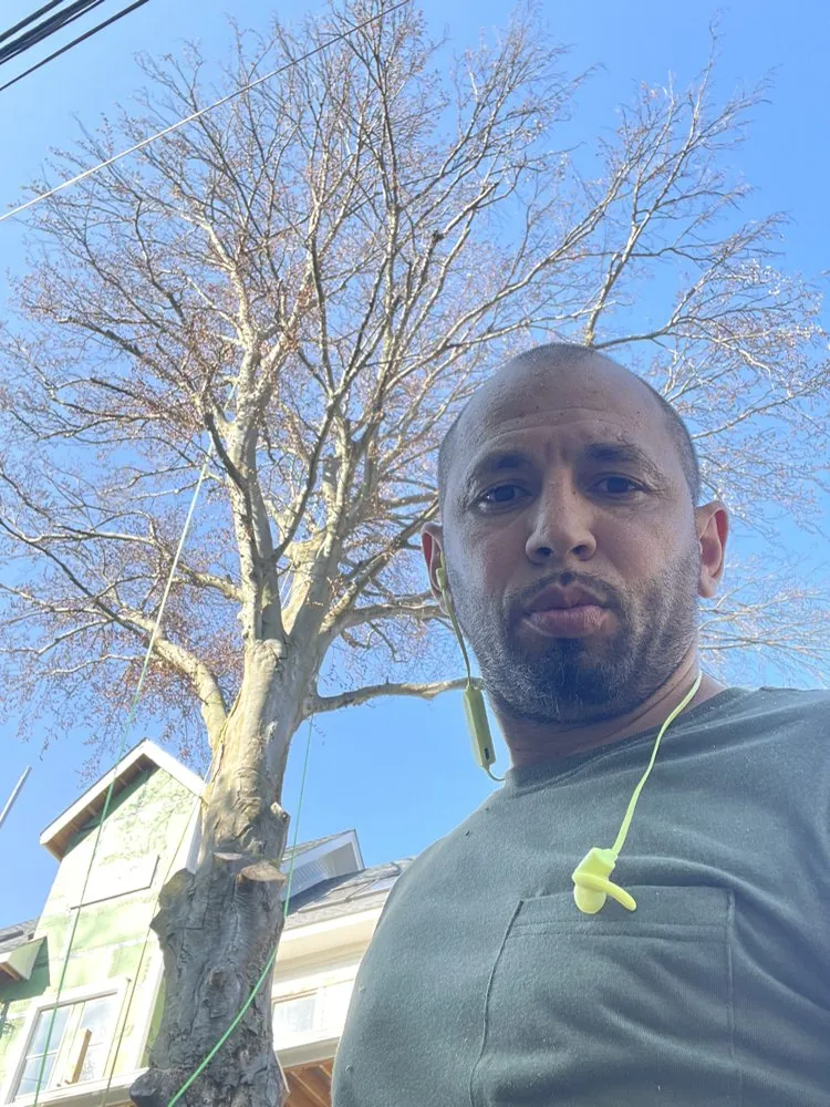 Reliable landscape installation for year-round maintenance in Beacon, NY by Discount Tree Man