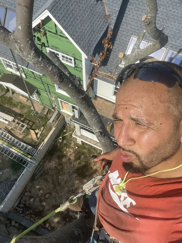 Professional garden landscaping experts serving Beacon, NY - Discount Tree Man