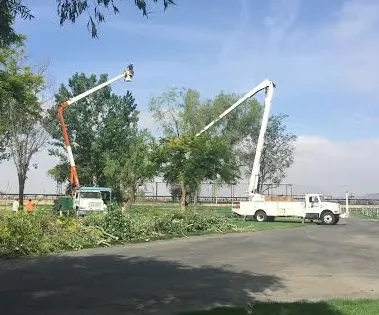 Affordable garden landscaping for year-round maintenance across Mecca, CA - Discount Tree Service