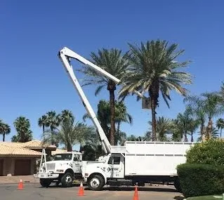 Expert yard cleanup service for beautiful yards across Mecca, CA - Discount Tree Service