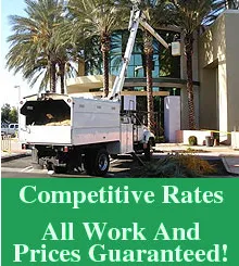 Custom yard maintenance experts serving Mecca, CA - Discount Tree Service