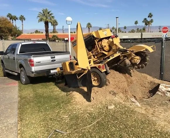 Custom landscape installation with custom design across Mecca, CA - Discount Tree Service