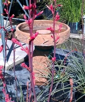 Reliable landscaping services in Brenham, TX - Discount Trees of Brenham