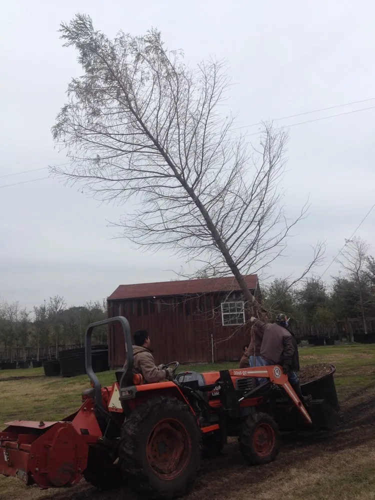 Affordable garden landscaping in Brenham, TX by Discount Trees of Brenham