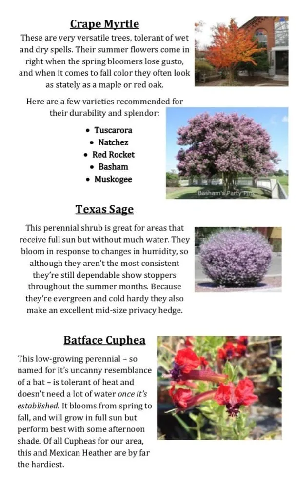 Reliable outdoor landscaping experts serving Brenham, TX - Discount Trees of Brenham