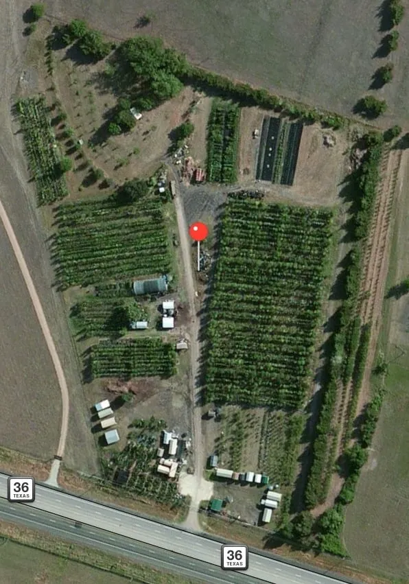 Local landscape design near you across Brenham, TX - Discount Trees of Brenham