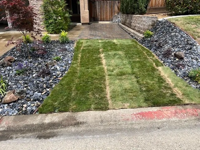 Local yard cleanup service for homes in Rio Linda, CA by Discover Landscaping