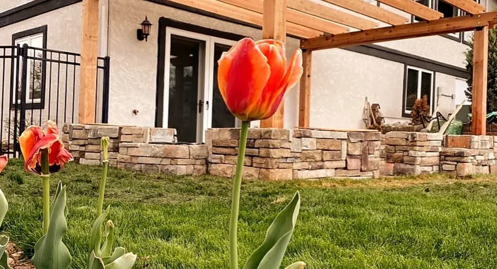 Affordable lawn care service for outdoor upgrades in Lakewood, CO by Discover Your Garden