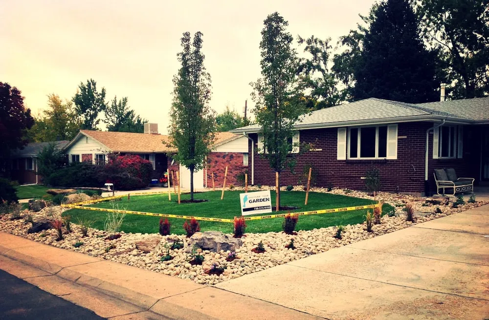 Affordable yard cleanup service in Lakewood, CO by Discover Your Garden