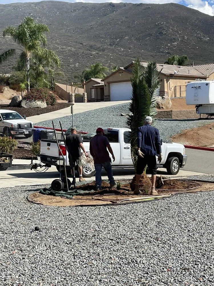 Custom lawn care service in San Marcos, CA by Discovery Island Palms