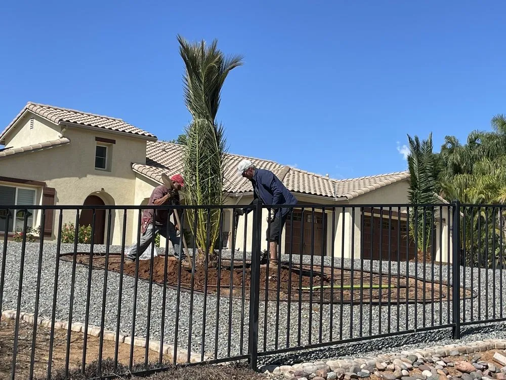 Affordable residential landscaping experts serving San Marcos, CA - Discovery Island Palms