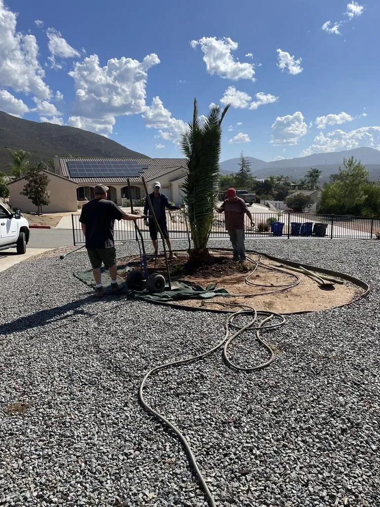 Reliable yard maintenance near you across San Marcos, CA - Discovery Island Palms