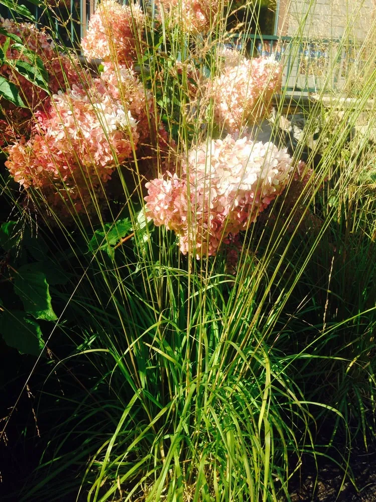 Custom yard maintenance in Montville, NJ - Discovery Landscape Design