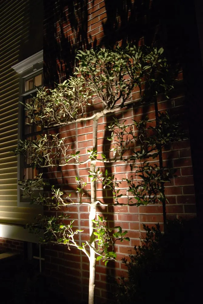 Trusted lawn care service in Montville, NJ - Discovery Landscape Design