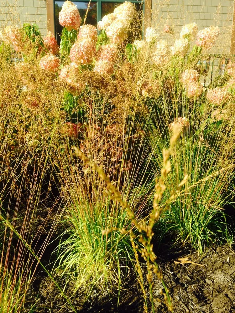 Top-rated landscape installation in Montville, NJ - Discovery Landscape Design