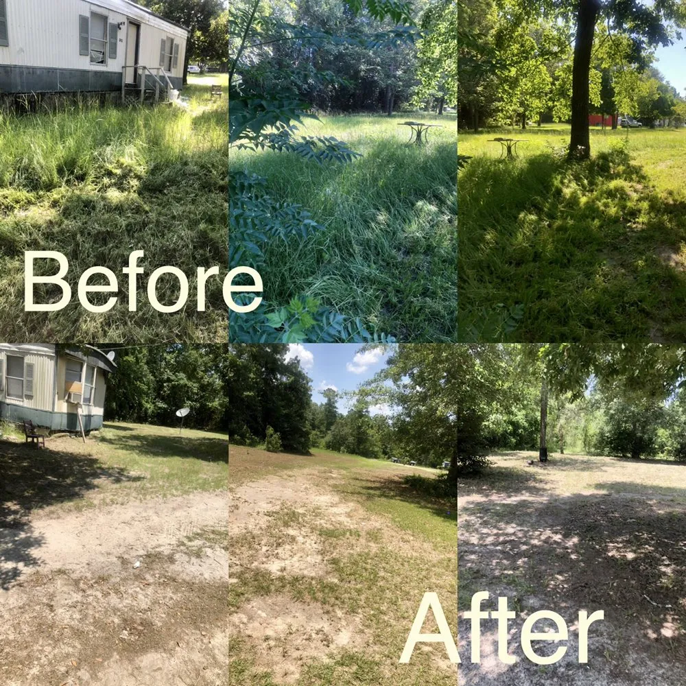 Local lawn care service for outdoor upgrades in Lexington, SC by Discreet Lawnz