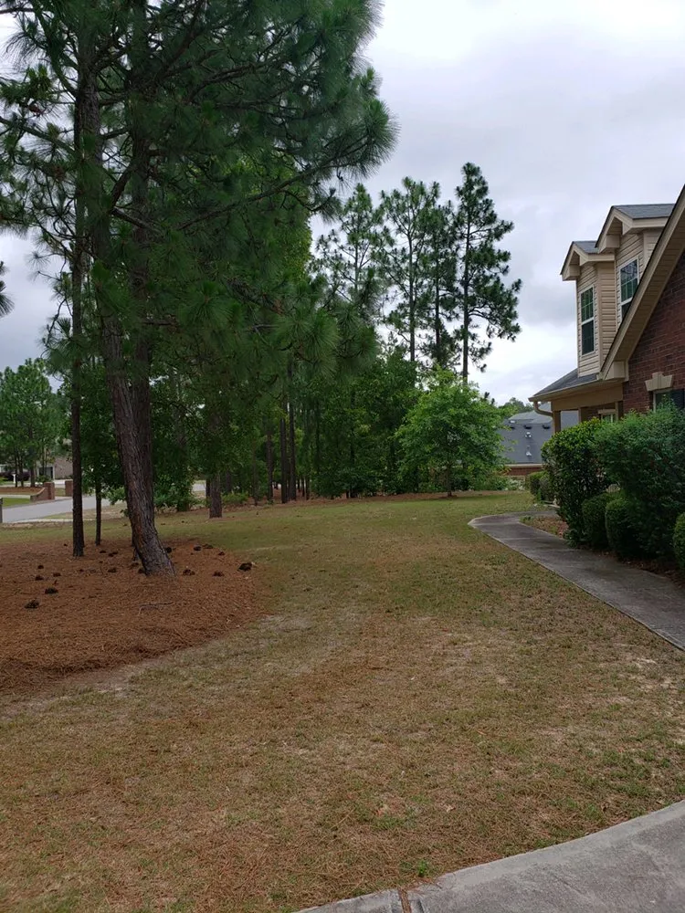 Top-rated garden landscaping in Lexington, SC by Discreet Lawnz