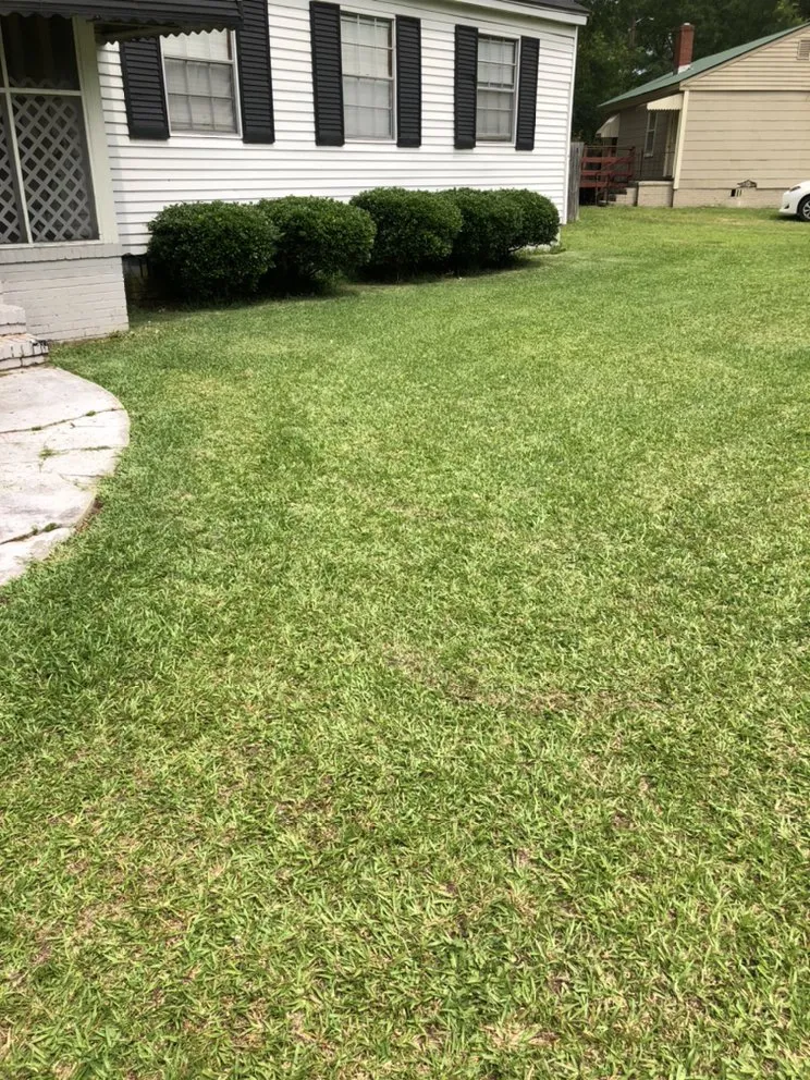 Reliable lawn care service in Lexington, SC by Discreet Lawnz
