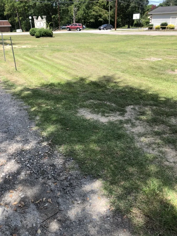 Expert garden landscaping for beautiful yards across Lexington, SC - Discreet Lawnz