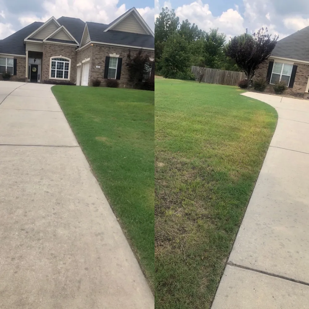 Reliable yard maintenance in Lexington, SC by Discreet Lawnz