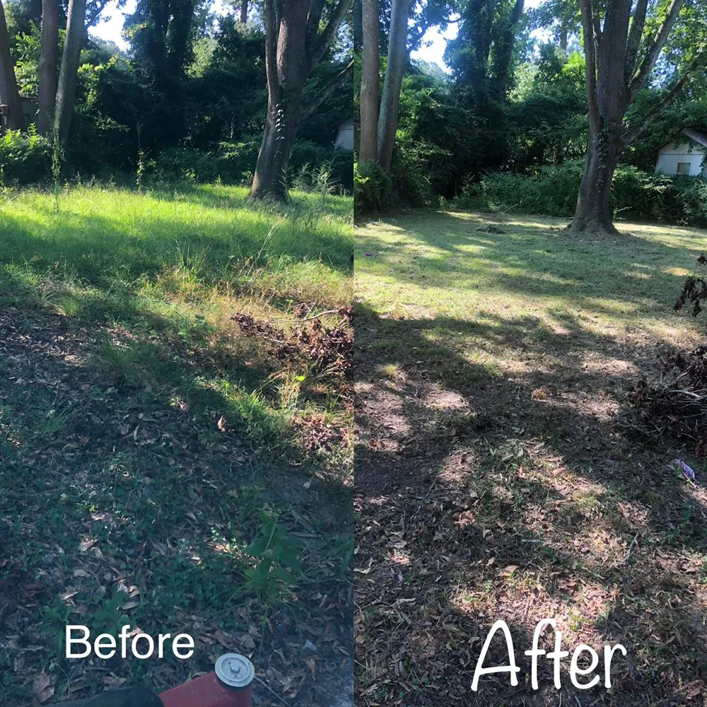 Expert landscaping services in Lexington, SC - Discreet Lawnz