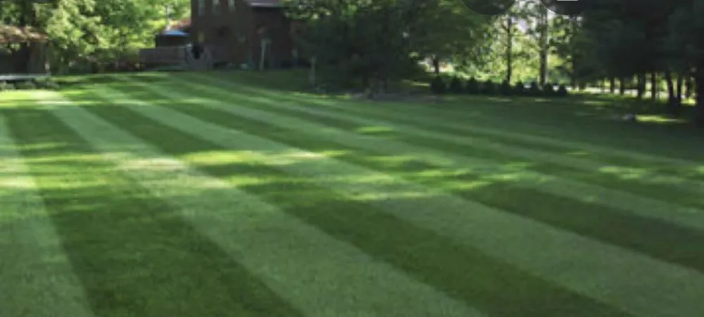 Trusted landscape installation in Lexington, SC - Discreet Lawnz