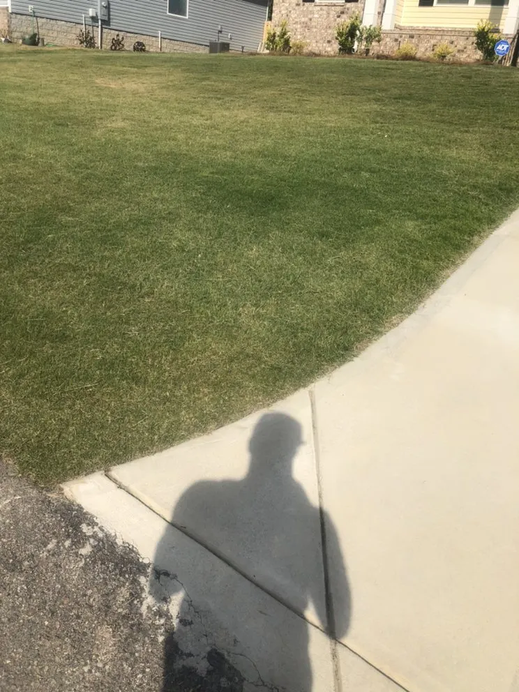 Local landscape installation in Lexington, SC by Discreet Lawnz