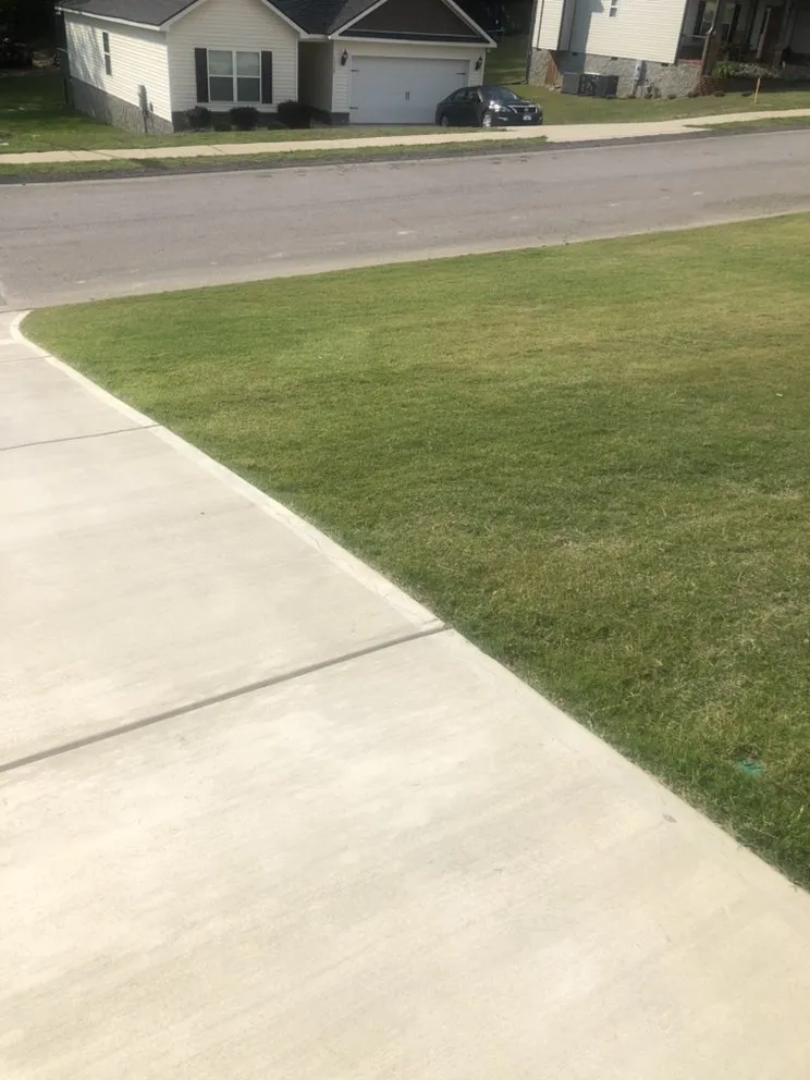 Professional landscape installation in Lexington, SC - Discreet Lawnz