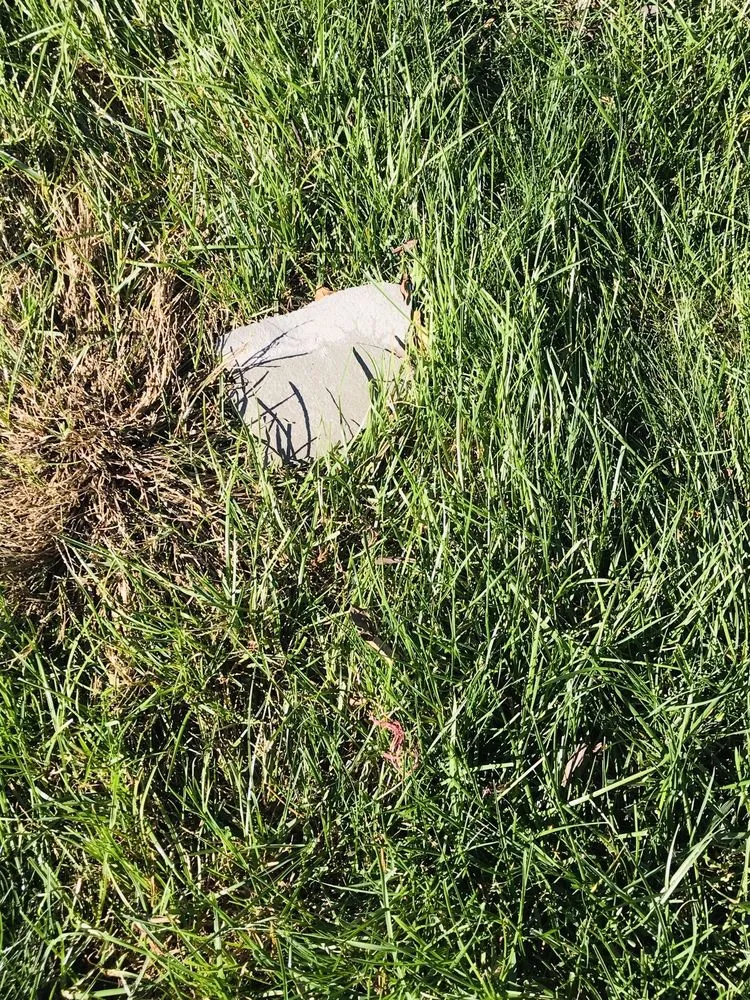 Local yard maintenance for outdoor upgrades in Downingtown, PA by Distefano Landscape Services Inc