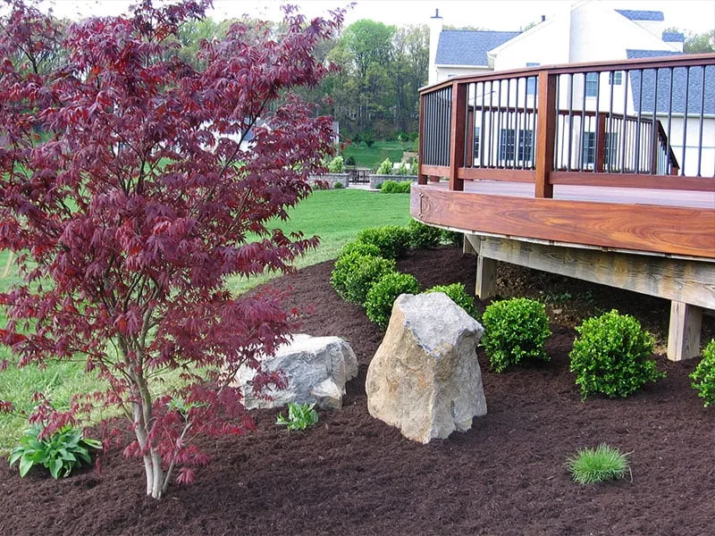 Affordable yard maintenance in Downingtown, PA by Distefano Landscape Services Inc