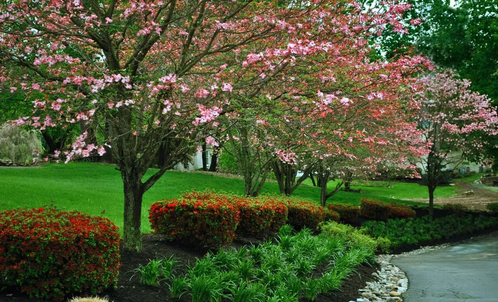 Reliable outdoor landscaping in Downingtown, PA by Distefano Landscape Services Inc