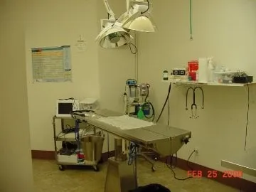 Local landscape design in Downingtown, PA - Distefano Landscape Services Inc