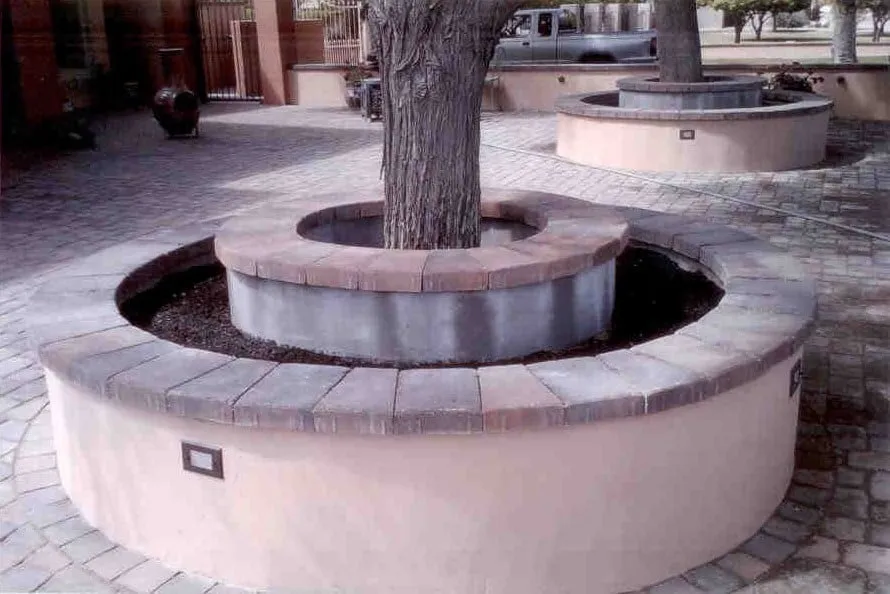 Top-rated lawn care service in Scottsdale, AZ by Distinct & Luxurious Landscape and Design