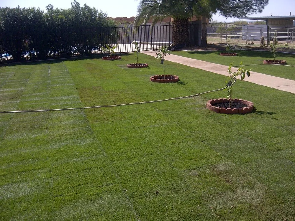 Professional garden landscaping in Scottsdale, AZ by Distinct & Luxurious Landscape and Design