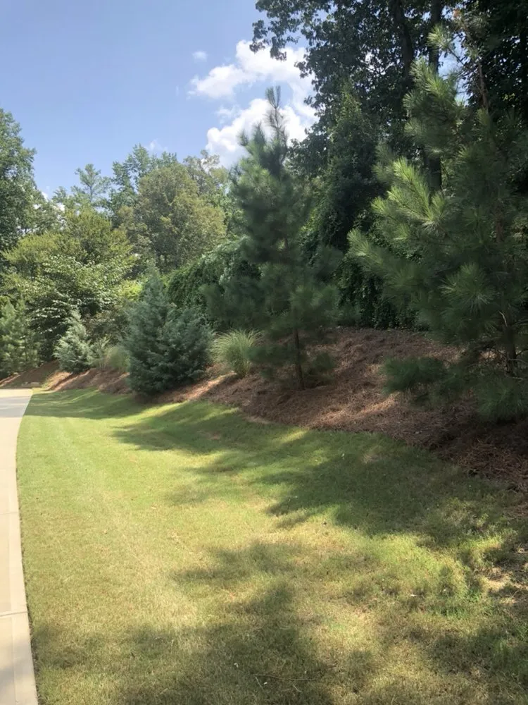 Top-rated yard maintenance experts serving Franklinton, NC - Distinct Lawns