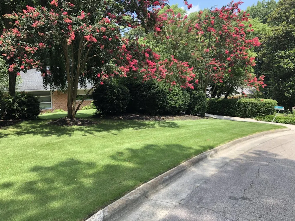 Local landscape installation in Franklinton, NC by Distinct Lawns