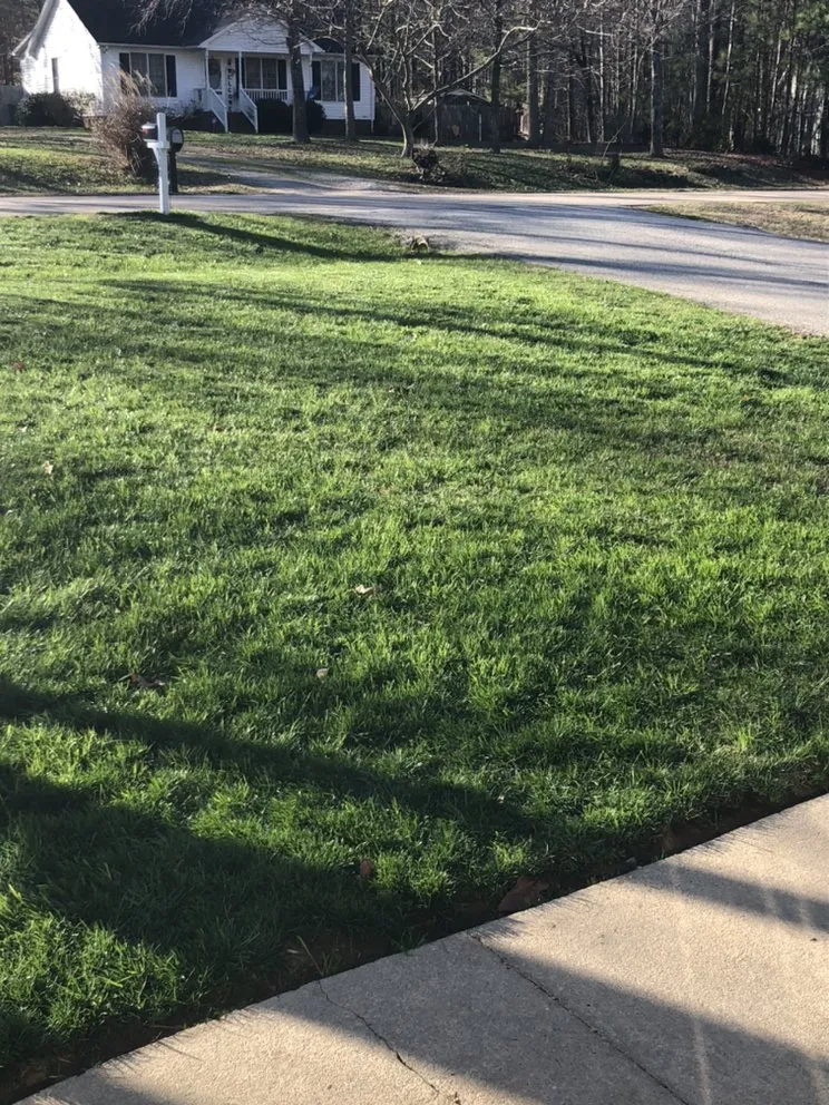 Affordable yard cleanup service in Franklinton, NC by Distinct Lawns