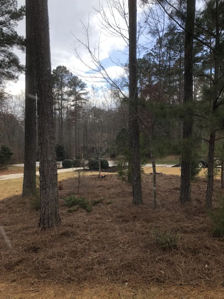 Affordable yard maintenance experts serving Franklinton, NC - Distinct Lawns