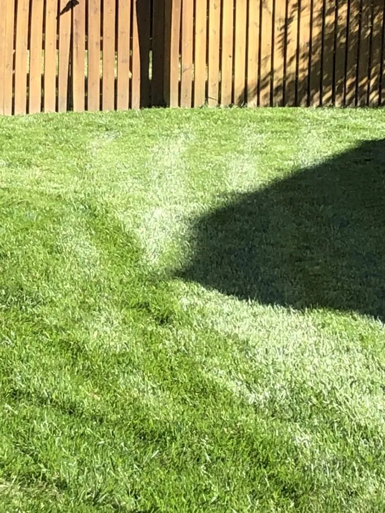 Custom yard maintenance for residential properties across Franklinton, NC - Distinct Lawns