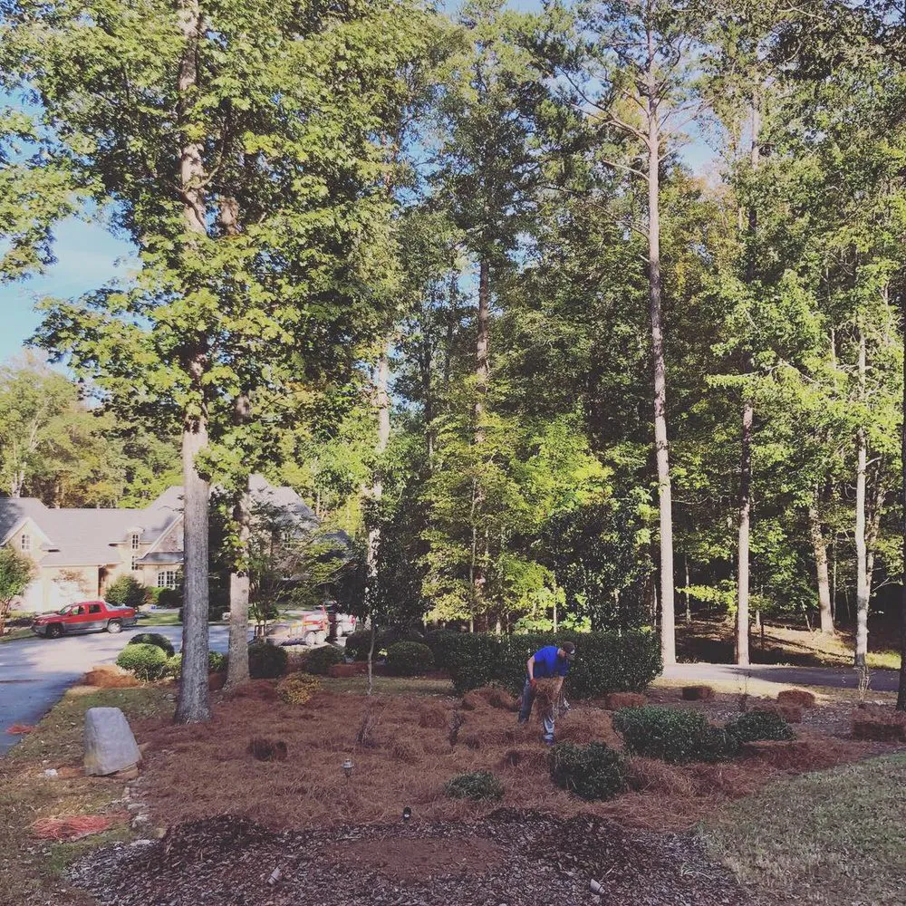 Custom residential landscaping experts serving Franklinton, NC - Distinct Lawns