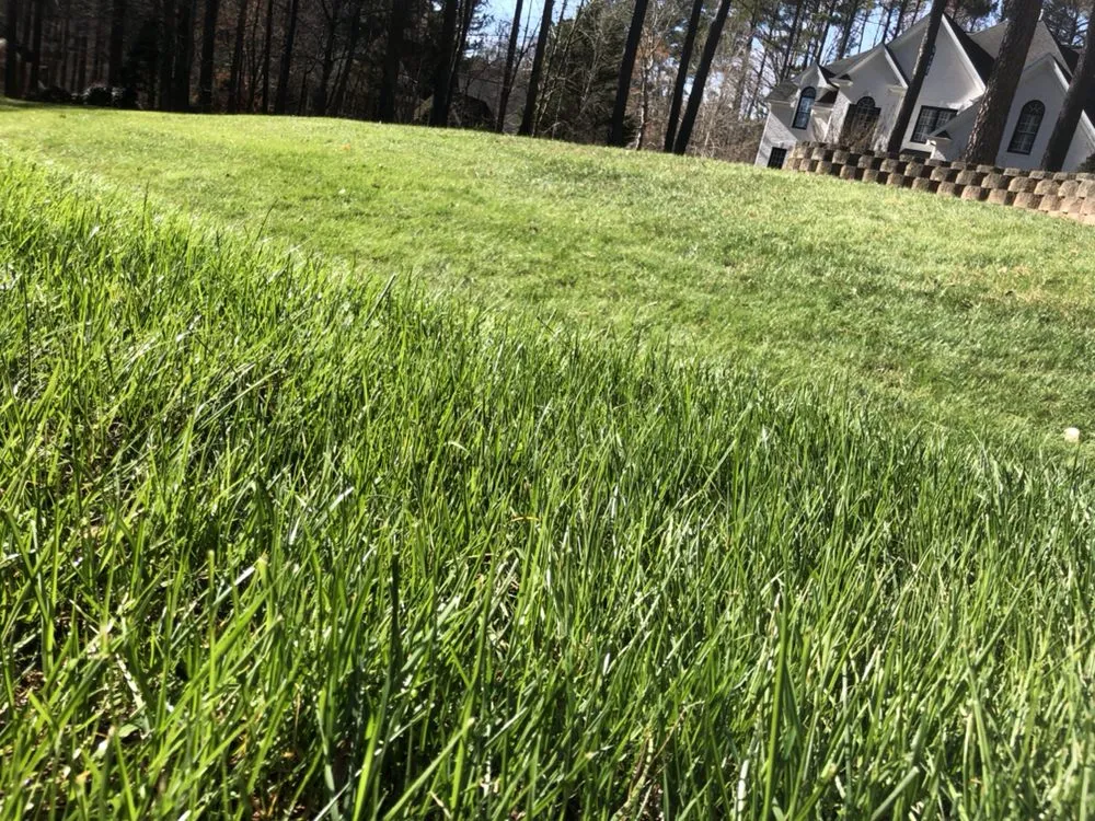 Professional landscape installation experts serving Franklinton, NC - Distinct Lawns
