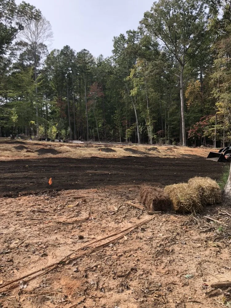 Top-rated landscaping services for homes in Franklinton, NC by Distinct Lawns